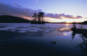 United Kingdom Rural Landscapes Prints: Winter landscape