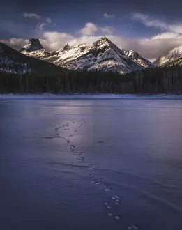 Winter landscape of the Canadian Rockies at Wedge Pond, tracks of wildlife on frozen lake Winter landscape of the Canadian Rockies at Wedge Pond, tracks of wildlife on frozen lake