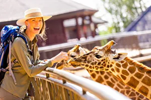 Woman enjoying the Giraffes at a local Elephant and Giraffe sanctuary, Kenya, East Africa, Africa Woman enjoying the Giraffes at a local Elephant and Giraffe sanctuary, Kenya, East Africa, Africa