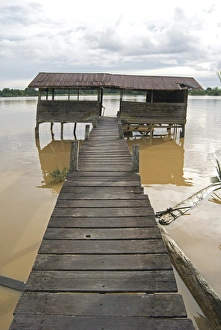 Wooden walkway from longhouse to river ferry point, Sarawak River, Sarawak Wooden walkway from longhouse to river ferry point, Sarawak River, Sarawak