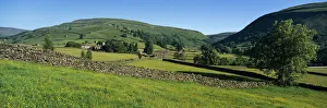 Yellow buttercup meadow with stone wall and typical landscape in Swaledale, Gunnerside Yellow buttercup meadow with stone wall and typical landscape in Swaledale, Gunnerside
