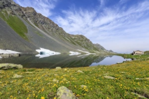 Yellow flowers frame the rocky peaks reflected in Lake Schottensee, Fluela Pass canton Yellow flowers frame the rocky peaks reflected in Lake Schottensee, Fluela Pass canton