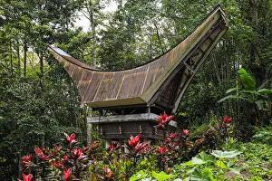 Zinc clad saddleback roofed tongkonan, Bori Kalimbuang megalithic burial site, Bori, Rantepao, Toraja, South Sulawesi Zinc clad saddleback roofed tongkonan, Bori Kalimbuang megalithic burial site, Bori, Rantepao, Toraja, South Sulawesi
