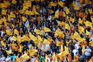 Wolverhampton Wanderers FC 2008-09 Championship Champions Print
