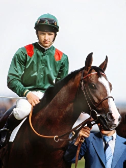 1981 St. Leger Stakes 1981 St. Leger Stakes