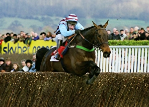 Best Mate wins the 2003 Cheltenham Gold Cup Best Mate wins the 2003 Cheltenham Gold Cup
