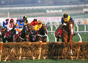 Cheltenham Festival - The Champion Hurdle Cheltenham Festival - The Champion Hurdle