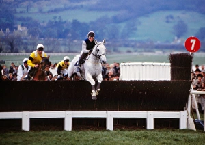 Desert Orchid in action in the 1990 Gold Cup Desert Orchid in action in the 1990 Gold Cup