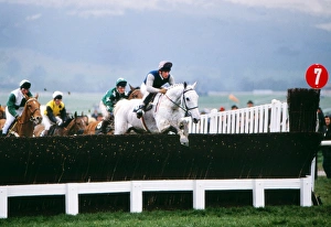 Desert Orchid on the way to winning the 1989 Cheltenham Gold Cup Desert Orchid on the way to winning the 1989 Cheltenham Gold Cup