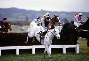 Desert Orchid on the way to winning the Queen Mother Champions Chase in 1988 Desert Orchid on the way to winning the Queen Mother Champions Chase in 1988