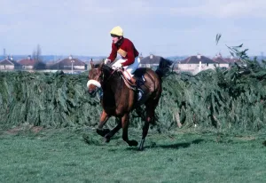 Horse Racing Prints: 1977 Grand National Print: Red Rum and Tommy Stack Clear the Last Fence