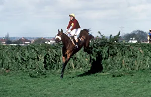 Red Rum clears the last on the way to winning the 1977 Grand National Red Rum clears the last on the way to winning the 1977 Grand National