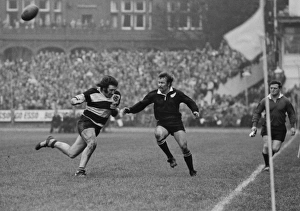 Tom David and Grant Batty fight during the famous game between the All Blacks Tom David and Grant Batty fight during the famous game between the All Blacks