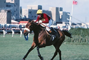 Tommy Stack and Red Rum race to the line to win the 1977 Grand National