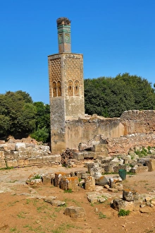 The Chellah, a medieval fortified necropolis in Rabat, Morocco The Chellah, a medieval fortified necropolis in Rabat, Morocco