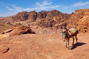 A donkey and view of sandstone rock formations overlooking the valley of the rock city of A donkey and view of sandstone rock formations overlooking the valley of the rock city of