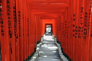 Red Torii Shrine Gates at Hie-Jinja Temple in Tokyo, Japan Red Torii Shrine Gates at Hie-Jinja Temple in Tokyo, Japan
