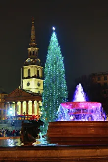 Trafalgar Square Christmas Tree, fountain and reflection, London Trafalgar Square Christmas Tree, fountain and reflection, London