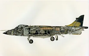 Harrier Artists Impression Print