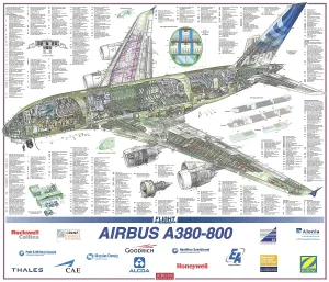 Airbus A380-800 Cutaway Poster Print