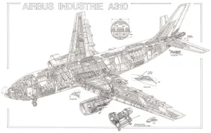 Airbus Cutaway Prints: Airbus Industrie A310 Cutaway Drawing Print