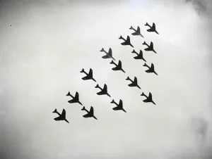 Black And White Military Image Prints: Flight, SUP00119