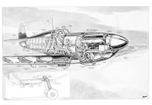 Images Dated 14th July 2005: Supermarine Spitfire Cutaway Drawing