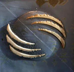 Abstract - Claw Print