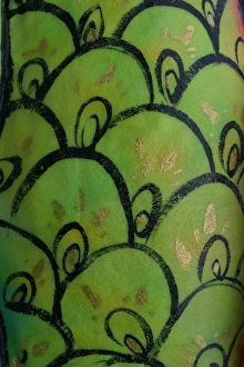 Abstract Shell Print