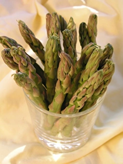 Photoslot Images Prints: Asparagus