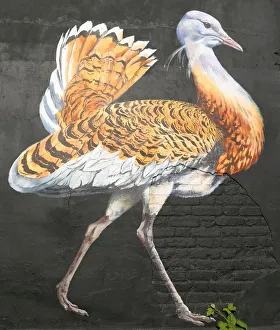 Bird on Black Wall Print