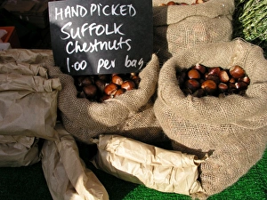 Autumn Food Prints: Chestnuts