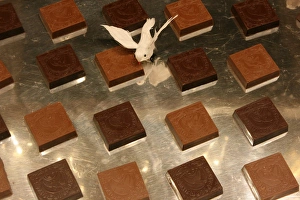 Dessert Ideas Prints: Chocolate
