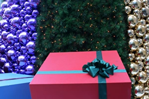 Holiday Gift Prints: Christmas present