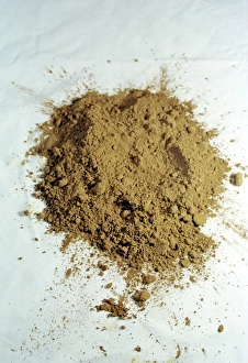 Cocoa Powder Prints: Cocoa powder