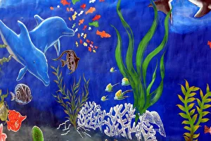 Aquatic Animal Pictures Prints: Dolphins and fish