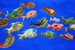 Fish Swimming Print