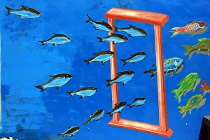 Underwater Photography Art Prints: Fish swimming through a frame