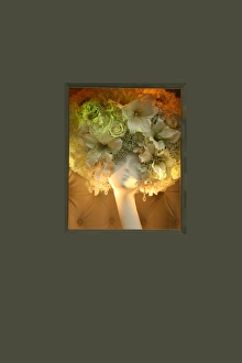 High Resolution Flower Images Prints: Flower Lady