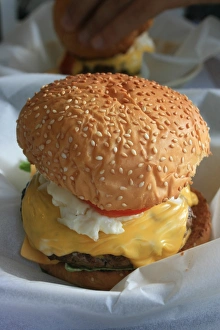 Juicy Hamburger Prints: Hamburger