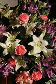 Commercial Use Images Prints: Lilies and carnations