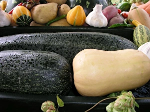 Commercial Use Photos Prints: Mixed marrows