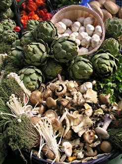 Mixed Vegetable Print