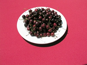 Fresh Cherries Prints: Plate of cherries