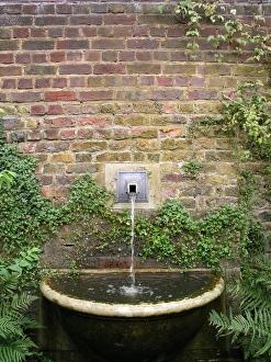 March Prints: Water Fountain Print