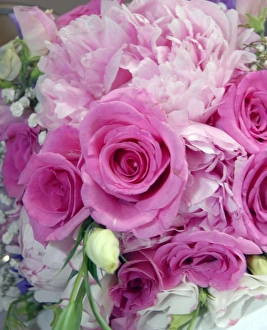 All Image Prints: Wedding Bouquet Print