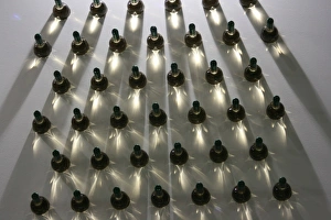 Wine Bottles Print