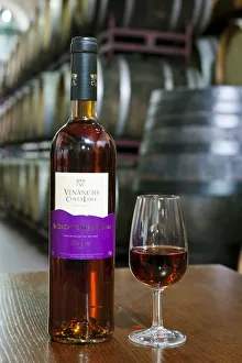 2011 Worlds Best Muscat (Moscatel). Venancio da Costa Lima, Reserve 2006 2011 Worlds Best Muscat (Moscatel). Venancio da Costa Lima, Reserve 2006