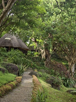 Accommodation at the lodge on Mfangano Island Accommodation at the lodge on Mfangano Island