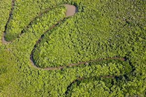 Aerial view of rain forest, Daintree River, Daintree National Park, Queensland Australia Aerial view of rain forest, Daintree River, Daintree National Park, Queensland Australia